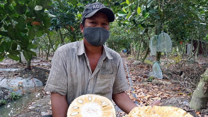 Bộ trưởng Bộ NN và PTNT: Phải “tổ chức lại sản xuất” và thể hiện rõ hơn vai trò điều phối