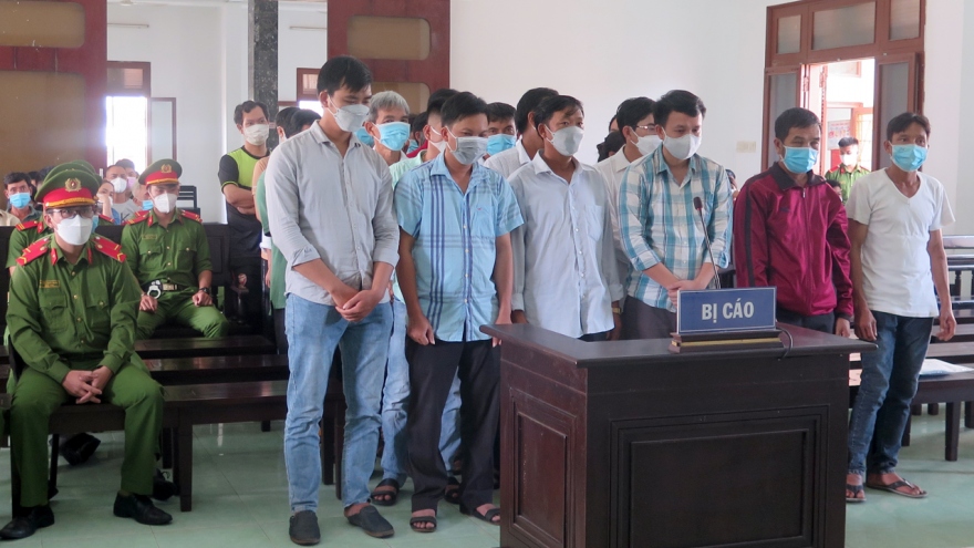 Tuyên án 34 bị cáo liên quan đến phá rừng ở Phú Yên