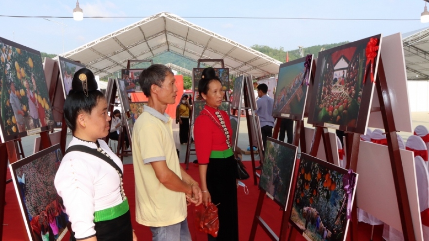 Lần đầu tiên tổ chức triển lãm "Ảnh đẹp về trái cây” với quy mô toàn quốc