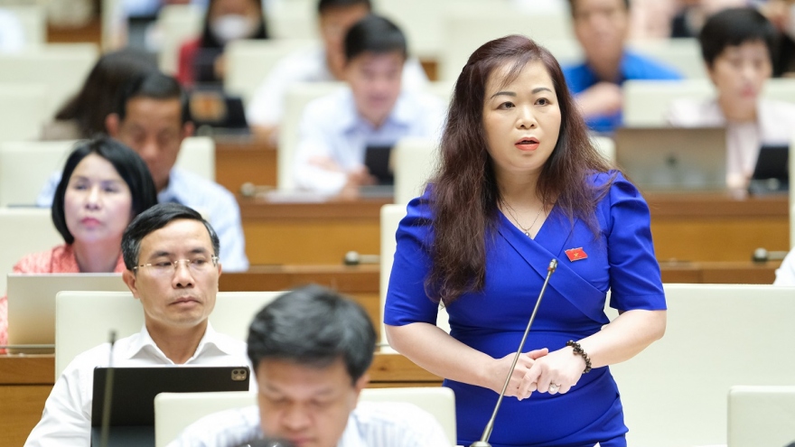 Đầu tư dầu khí: Cân nhắc lợi ích quốc gia, không thu hút bằng mọi giá