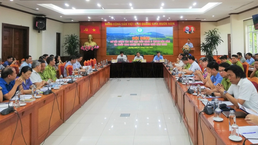 Tăng cường sử dụng nguồn gỗ trong nước, hướng tới giá trị xuất khẩu 16,3 tỷ USD