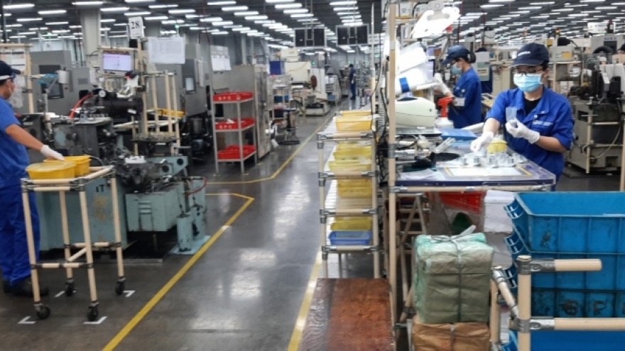 Doanh nghiệp TP.HCM kỳ vọng Nghị định 35 tháo gỡ thủ tục hành chính trong KCN