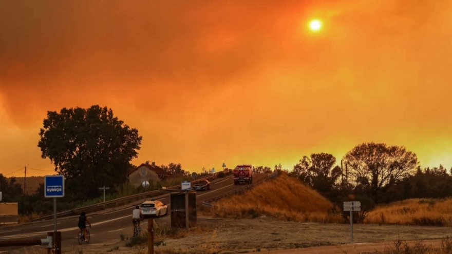 Pháp hứng chịu đợt nắng nóng kéo dài, cháy rừng lan rộng 