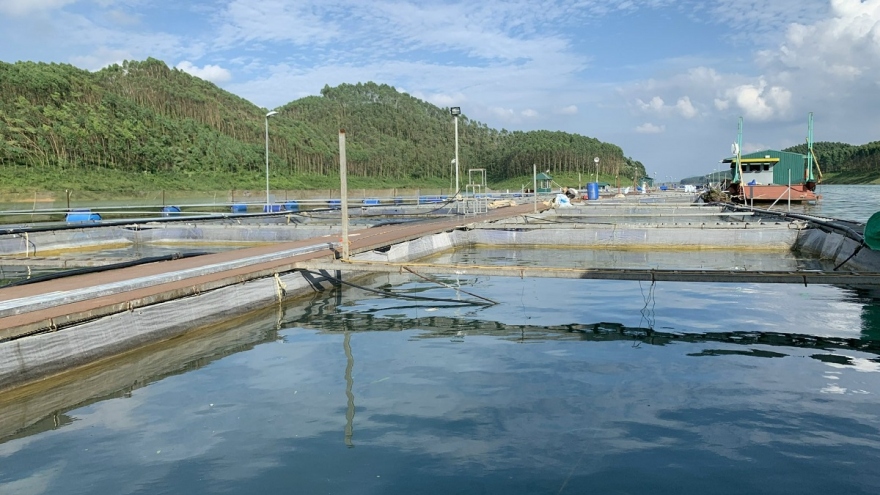 Hợp tác xã miền núi cần “trụ đỡ” để phát triển vững mạnh