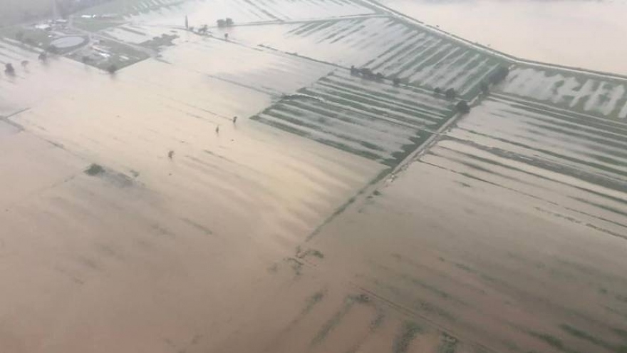 Mưa lớn gây ngập lụt trên diện rộng tại New Zealand