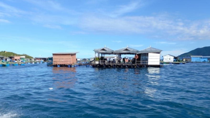 Làm gì để nuôi biển phát triển bền vững?