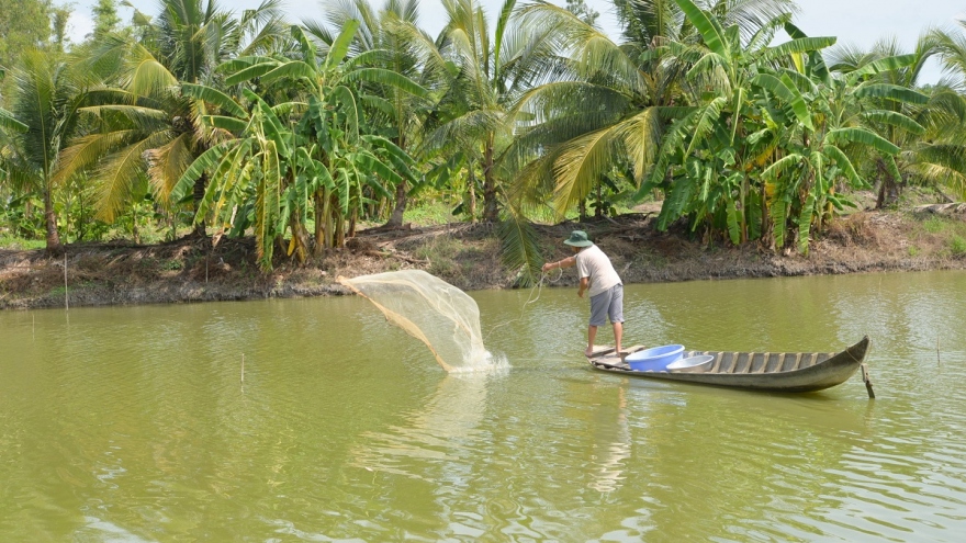 Xuất khẩu thủy sản dự kiến vượt mốc trên 10 tỷ USD trong năm nay