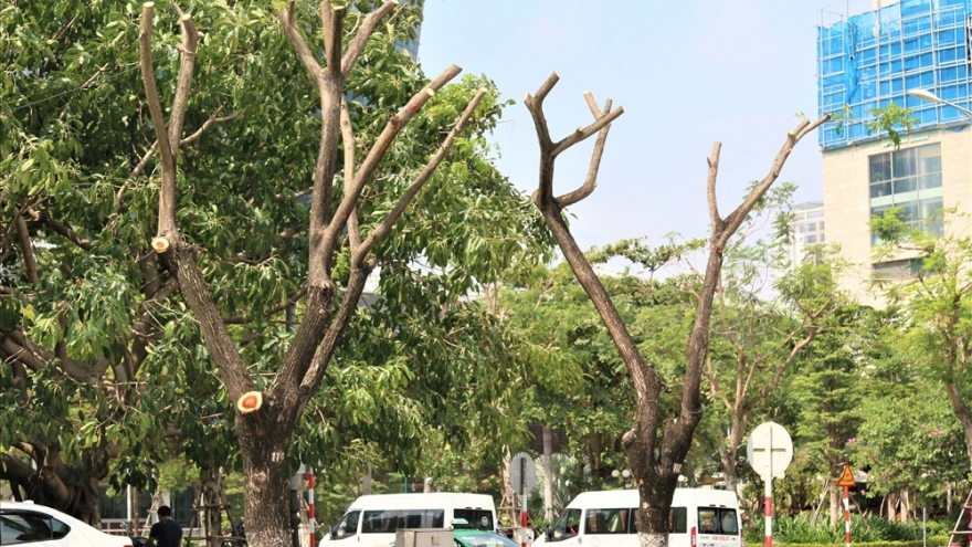 Đà Nẵng chủ động ứng phó với bão Noru