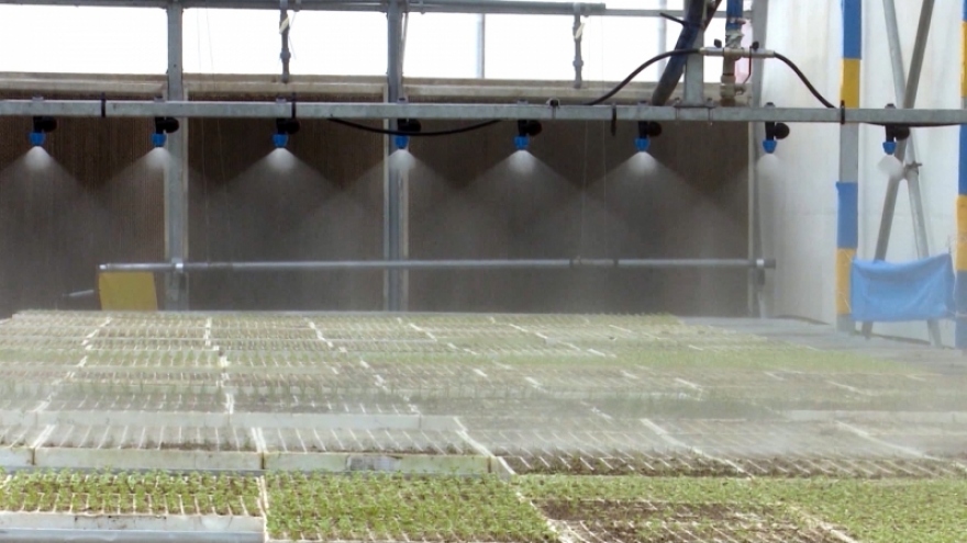 Ứng dụng chuyển đổi số, nhiều nông dân Quảng Nam mở rộng được thị trường