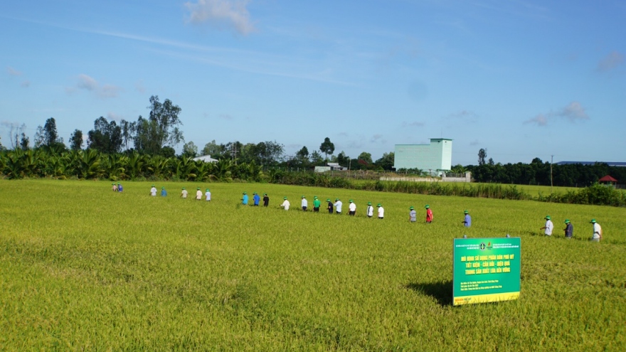 Sử dụng phân bón tiết kiệm - cân đối - hiệu quả trong sản xuất nông nghiệp