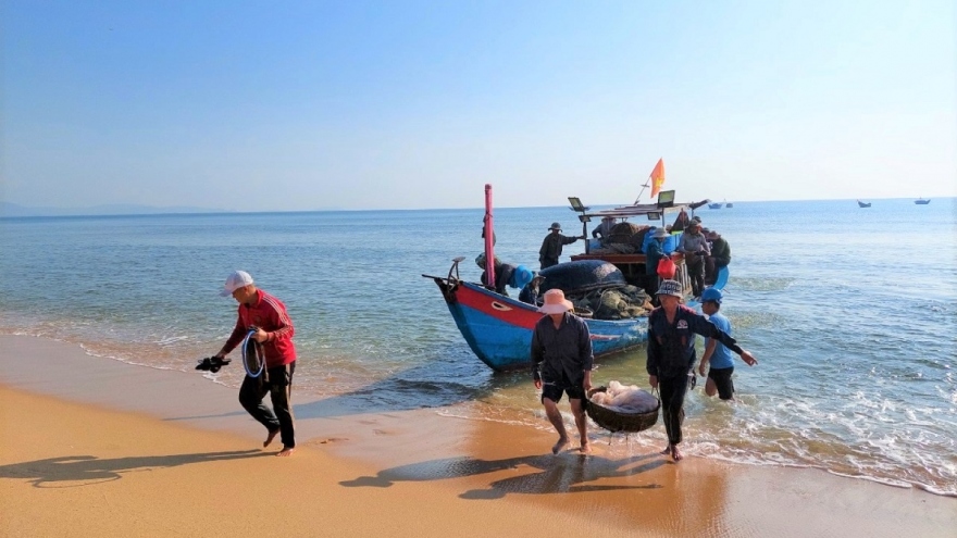 Ngư dân vùng bãi ngang Quảng Bình trúng cá cơm