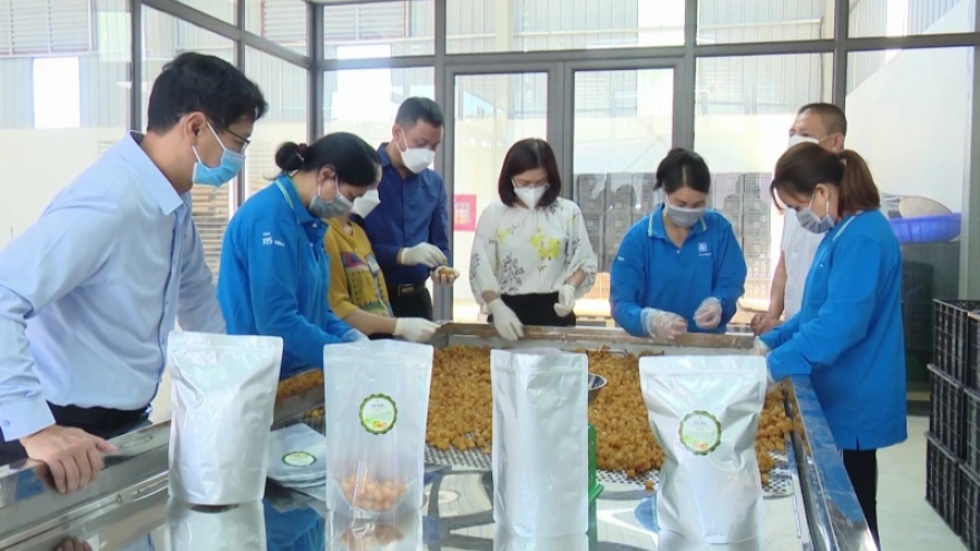 Doanh nhân đồng hành đưa nông sản vươn xa