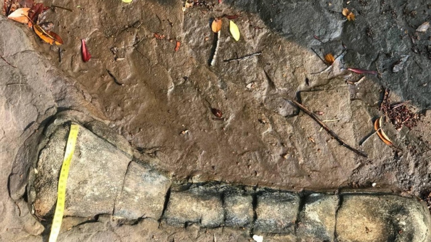 Campuchia công bố phát hiện xương hóa thạch khủng long