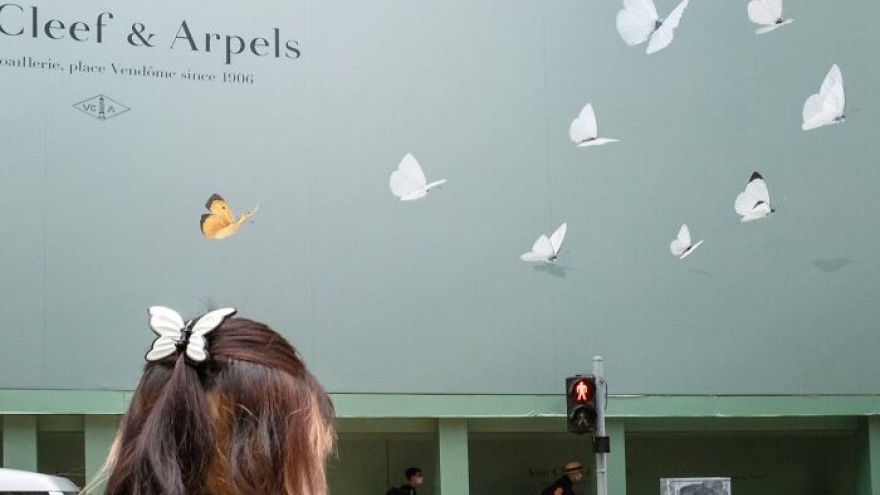 Những khoảnh khắc "đúng thời điểm" thú vị và hài hước trong cuộc sống