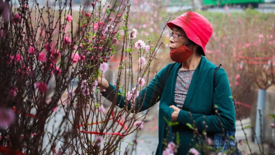 Trình Thủ tướng 2 phương án nghỉ Tết Nguyên đán 2023