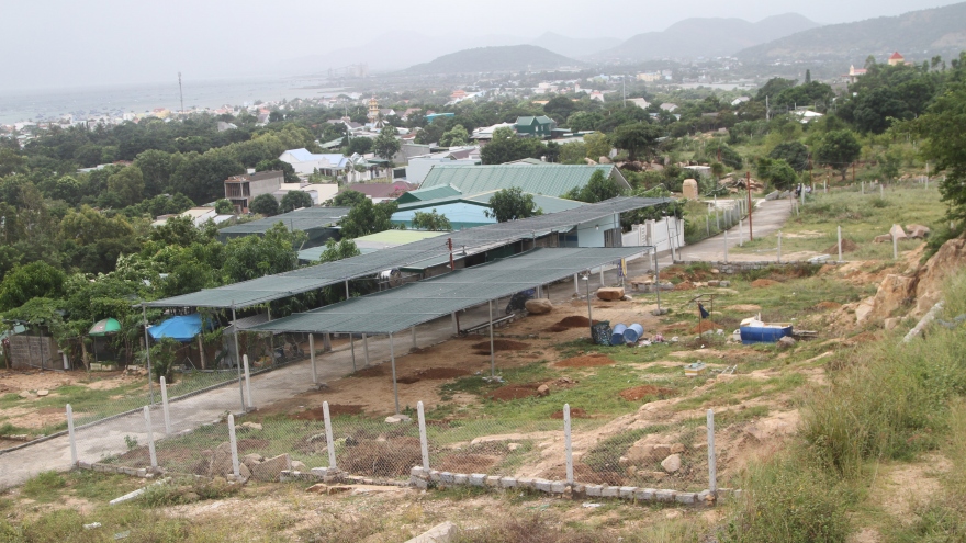 Kỷ luật 2 Chủ tịch UBND phường ở Khánh Hòa vì để lấn chiếm núi Hòn Rồng