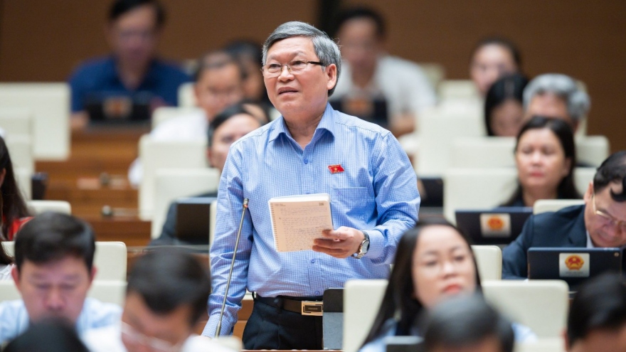 ĐBQH kiến nghị quy định rõ trách nhiệm tố giác hành vi bạo lực gia đình vào luật