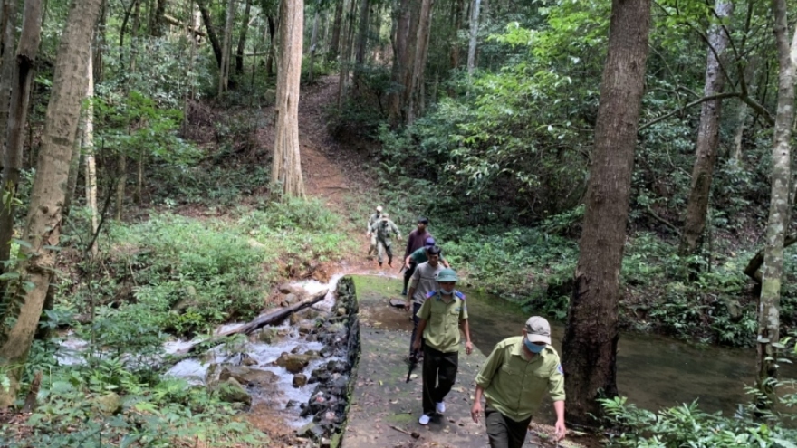 Gia Lai tìm cách giữ chân nhân viên bảo vệ rừng