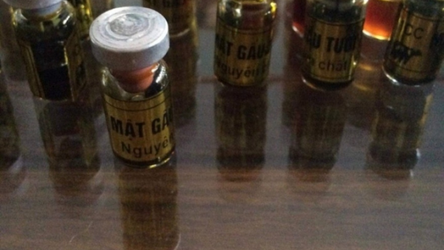 Nhận án hơn 5 năm tù vì tàng trữ tiêu bản động vật hoang dã quý hiếm