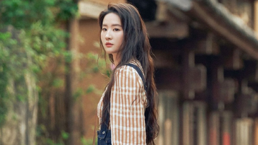 “Cày phim” xuyên Tết với “Đi đến nơi có gió”, “Tham vọng rực lửa",...