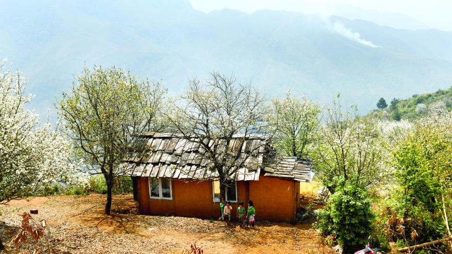 Nậm Nghiệp mùa hoa sơn tra