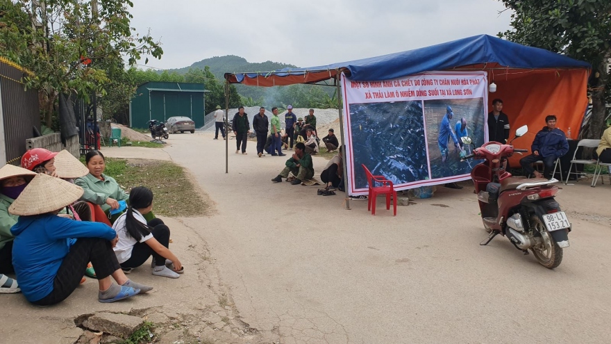 Vụ vỡ đường ống nước thải trang trại ở Bắc Giang: 460 con lợn bị chết đói