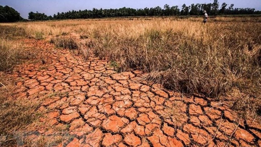 Hạn mặn ở ĐBSCL: Đâu là giải pháp cho vùng trọng điểm phát triển?