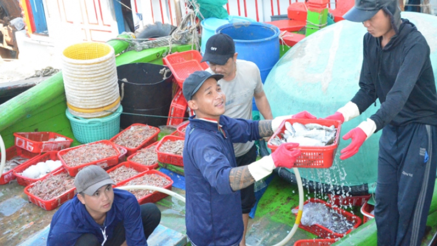 Ngư dân miền Trung rộn ràng chuyến biển đầu năm