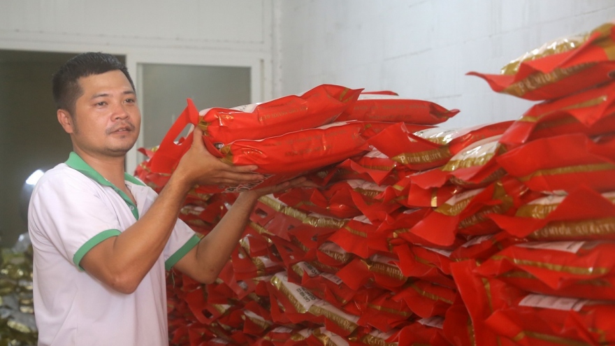 Quảng Trị xuất khẩu lô hàng gạo hữu cơ đầu tiên sang Châu Âu