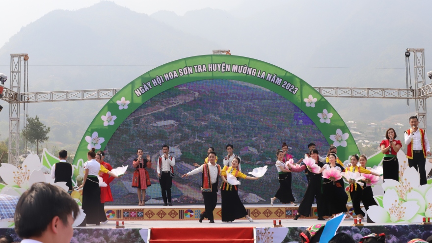 Ấn tượng ngày hội Hoa sơn tra
