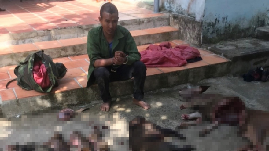 Đồng Nai bắt giam nhóm "lâm tặc" chém trọng thương kiểm lâm