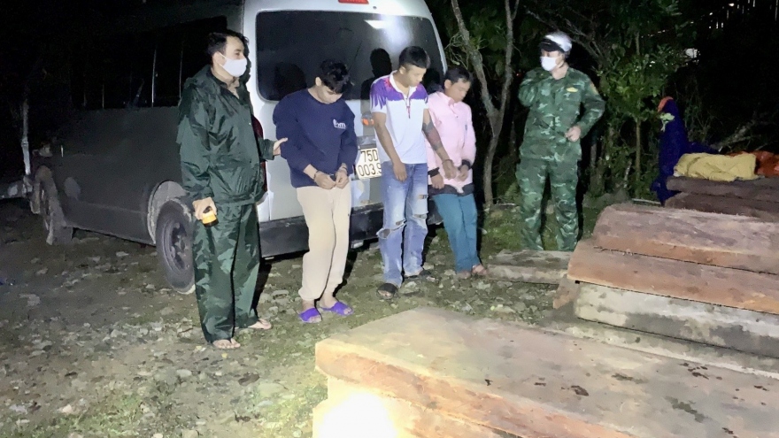 Bắt giữ xe ô tô chở 28 phách gỗ trái phép tại Thừa Thiên Huế