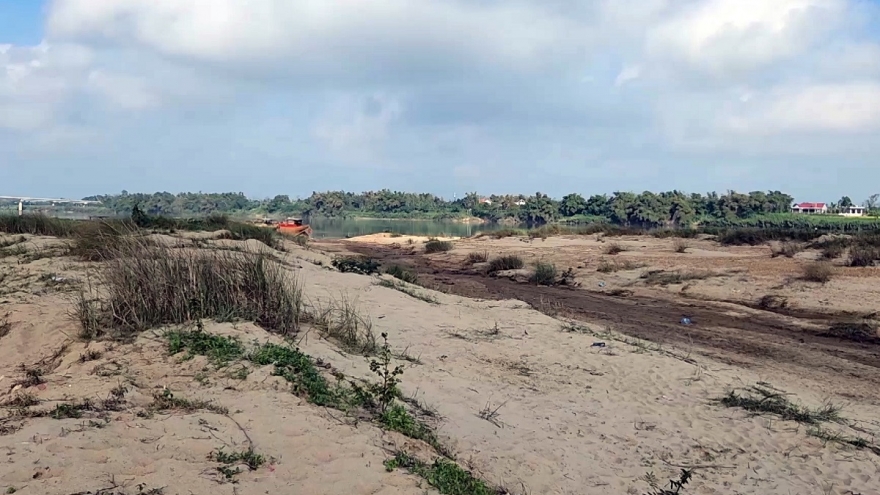 Hàng trăm hộ nông dân Quảng Nam đối mặt nguy cơ mất mùa