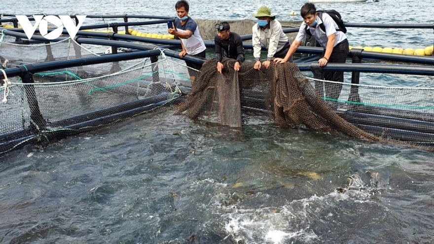 Nuôi trồng thuỷ sản trên biển phải tích hợp đa giá trị