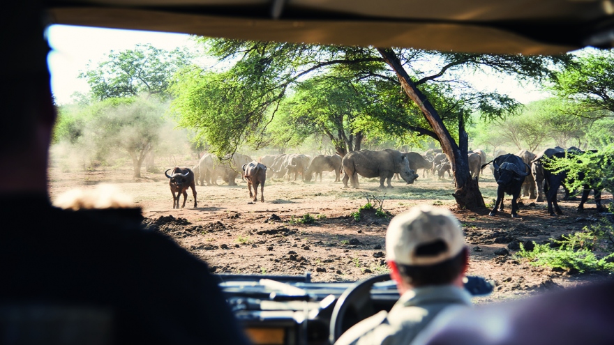 Nam Phi tạo thuận lợi về visa để thu hút khách Việt