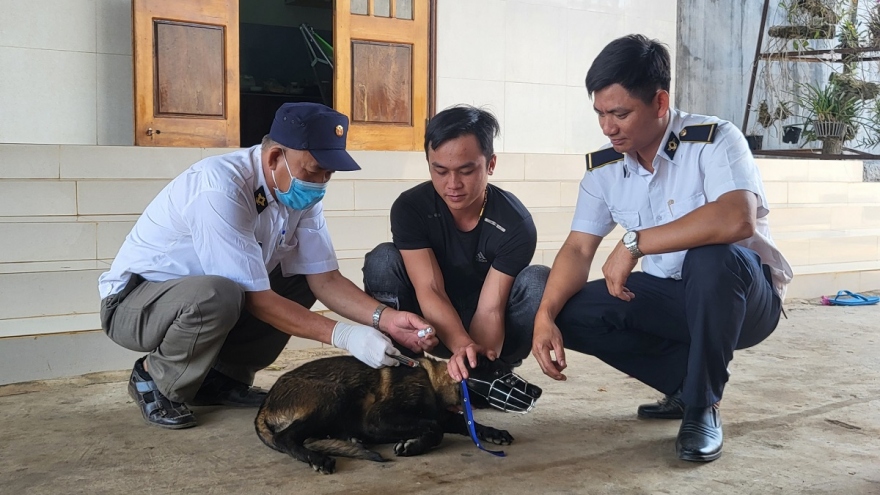 Đắk Lắk ghi nhận trường hợp tử vong nghi do bệnh dại