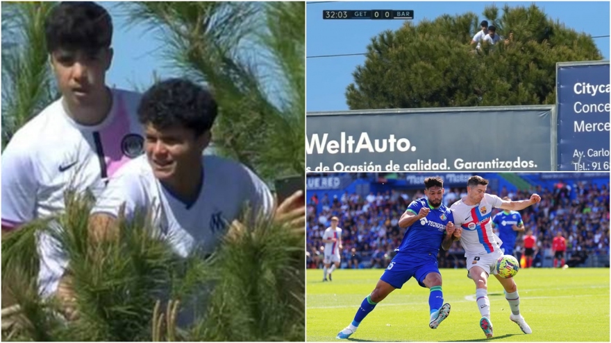 CĐV ngồi trên ngọn cây “xem ké” trận đấu của Barca