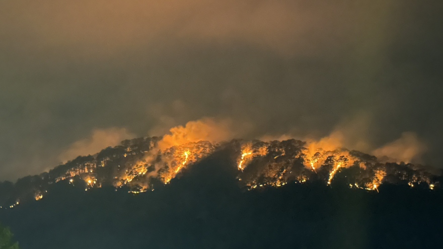 Cơ bản khống chế đám cháy rừng thông tại Đà Lạt