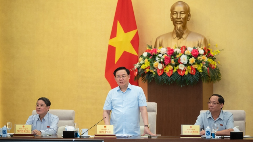 "Ý kiến của chuyên gia là chất liệu giúp Quốc hội nhìn nhận xem xét các báo cáo"