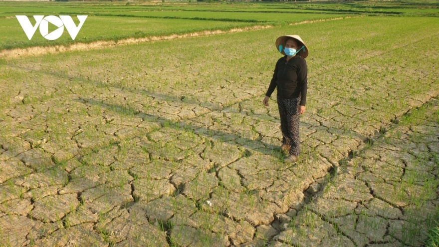 Thủ tướng yêu cầu ứng phó với nguy cơ nắng nóng, hạn hán, thiếu nước, xâm nhập mặn