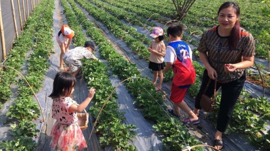 Du lịch trải nghiệm hút khách ở Lai Châu