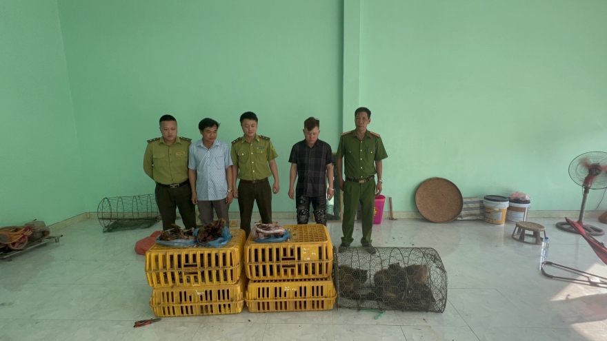 Phát hiện nhiều cá thể động vật hoang dã còn sống trong nhà người dân