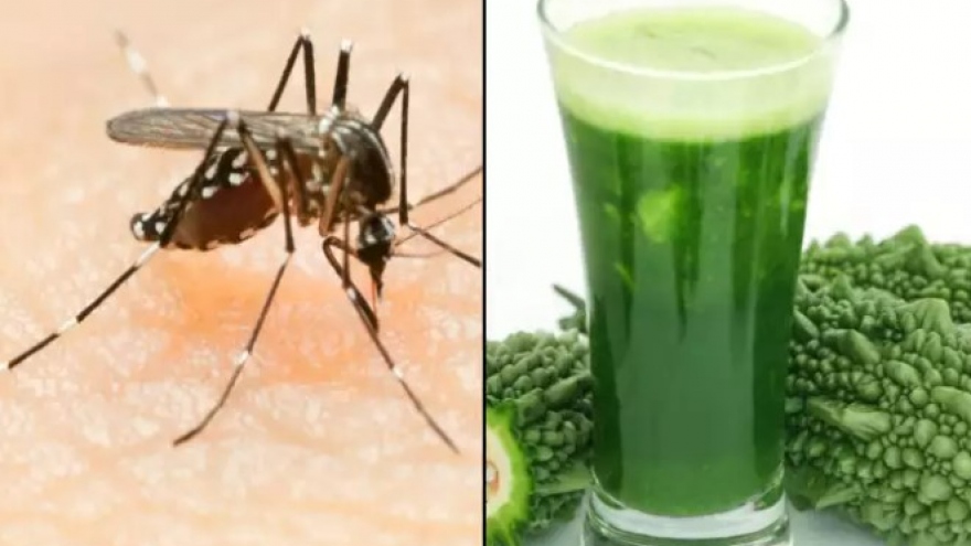 Đây là những loại đồ uống giúp chống lại sốt xuất huyết