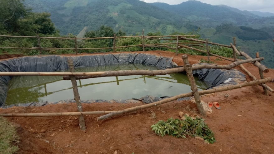 3 trẻ nhỏ Lào Cai đuối nước trong lúc đi chăn trâu