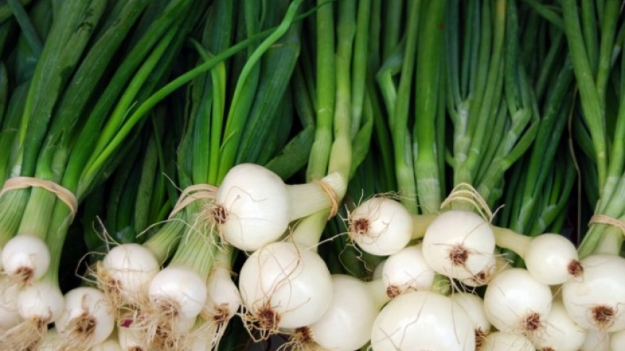 Lợi ích của hành lá với sức khỏe khiến nhiều người ngỡ ngàng