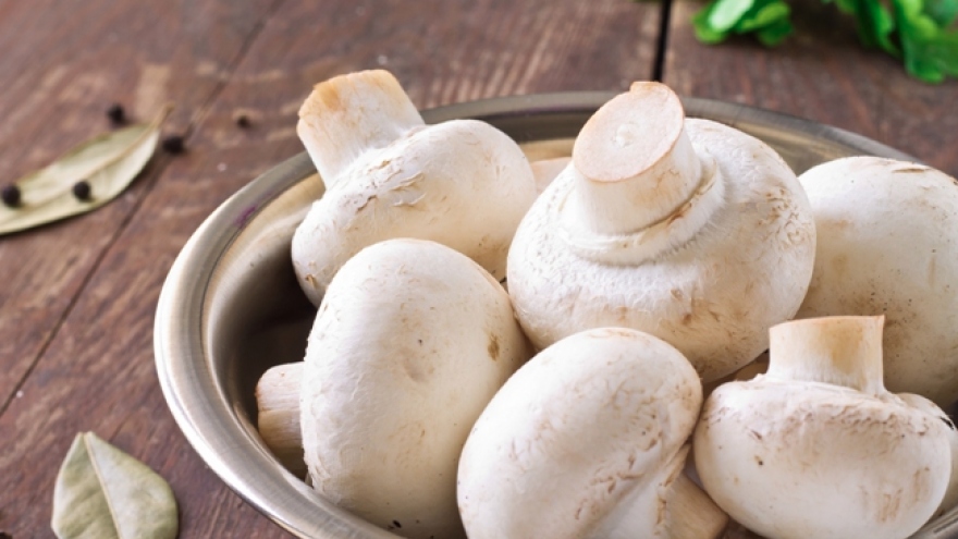 Lợi ích không ngờ tới của nấm đối với sức khỏe