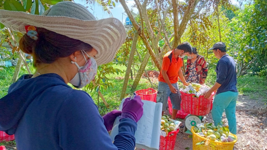 Cơ hội lớn cho ĐBSCL tăng tốc phát triển