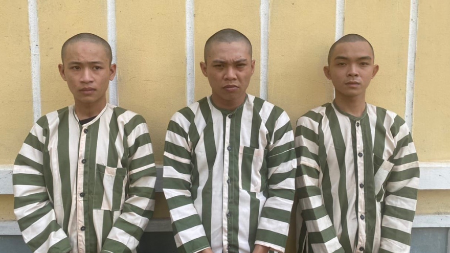 Bé gái 12 tuổi dính bẫy "việc nhẹ, lương cao" ở Bình Dương