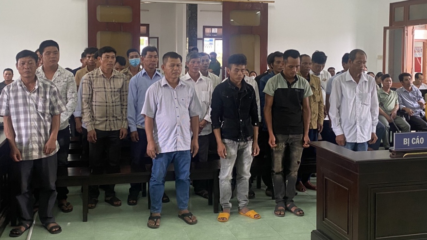 27 người lĩnh án do phá rừng lấy đất trồng keo ở Phú Yên
