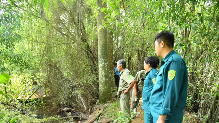 Tiếp tục truy bắt 4 trong 8 con cá sấu xổng chuồng